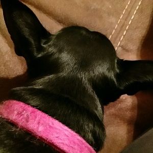 Meet your Posher, Alison